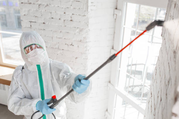 Best HVAC Mold Inspection and Cleaning  in Guin, AL