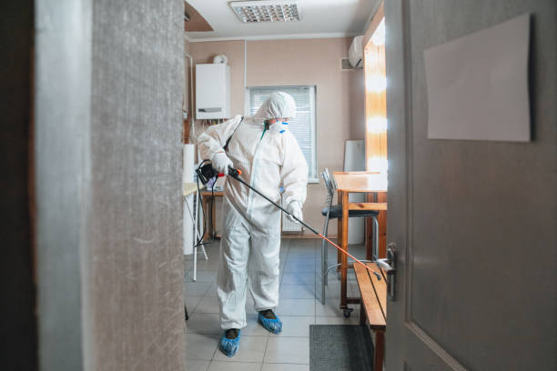 Guin, AL Mold Removal Company