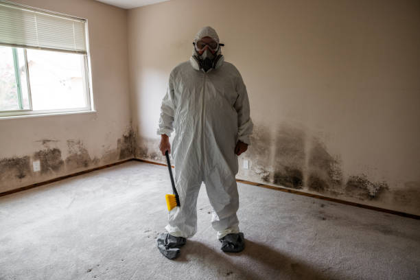 Best Real Estate Mold Inspection  in Guin, AL
