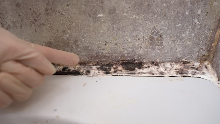 Best Industrial Mold Remediation  in Guin, AL